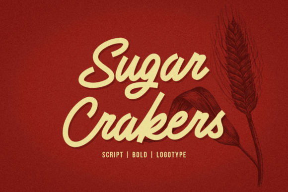 Sugar Crakers: The Bold Script Font for Handmade Branding